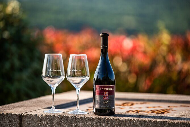 Wine Degustation in the Heart of Slovenian Istria - The Sum Up