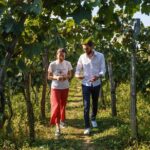 WINE & DINE Tour from Kutaisi - A Deeper Look at the WINE & DINE Tour: What to Expect