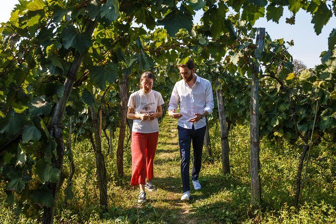 WINE & DINE Tour from Kutaisi - A Deeper Look at the WINE & DINE Tour: What to Expect