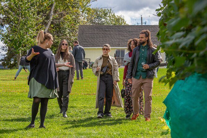 Wine Enthusiast Tour Lead by a Sommelier - The Practical Side: What You Need to Know