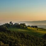 Wine Experience at Torre Bisenzio Winery - What Travelers Are Saying and Why It Matters