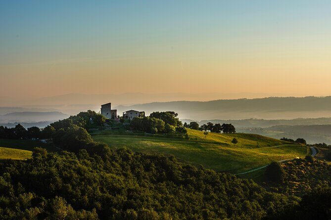 Wine Experience at Torre Bisenzio Winery - What Travelers Are Saying and Why It Matters