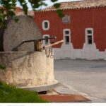 Wine experience in a local winery - Departure from Cagliari - Experience the Charm of Sardinian Wine in a Small-Group Tour from Cagliari