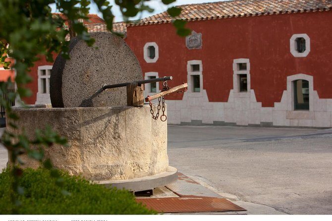 Wine experience in a local winery - Departure from Cagliari - Experience the Charm of Sardinian Wine in a Small-Group Tour from Cagliari