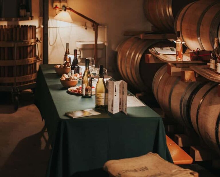 WINE EXPERIENCE - Le Vie Angarano winery - Considerations for Your Visit