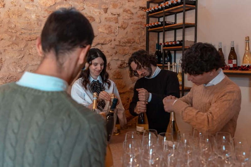 Wine Experience tra i carrubi secolari di Mazara del Vallo - A Deep Dive into the Sicilian Wine Experience