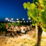 Wine Experience: vineyard, wines and food - Who Should Consider This Tour?