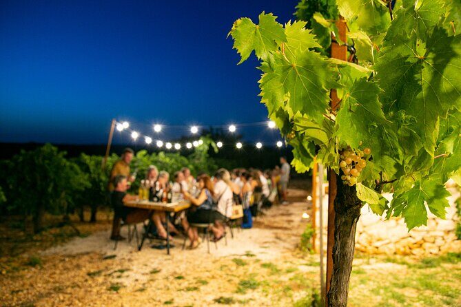 Wine Experience: vineyard, wines and food - Who Should Consider This Tour?
