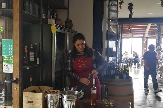 Wine & Food Tour at the Vesuvius Winery - Exploring the Vesuvius Winery Experience