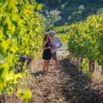 Wine Hiking Sip & Trek - Practical Details and Value