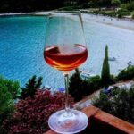 WINE KINGDOM PELJESAC from Dubrovnik - A Deep Dive into the Croatian Wine Experience