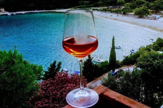 WINE KINGDOM PELJESAC from Dubrovnik - A Deep Dive into the Croatian Wine Experience
