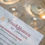 Wine & Music on the Terrace - Who Will Love This Experience?