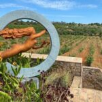 Wine Not Algarve Winery Tour - Authentic Experiences and Practical Insights