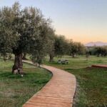WIne & Olive Oil Tasting in an Organic Farm in Laconia, Greece! - Who Will Love This Tour?