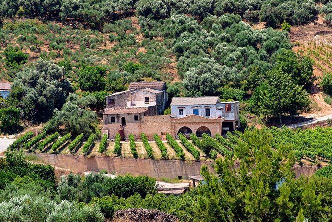 Wine & Olive Oil tasting one day private tour in Crete - Authenticity and Value