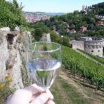 Wine rally in Würzburg with tasting - Who Will Love This Experience?