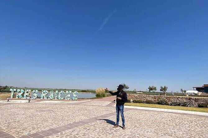 Wine Route !, Vineyards, wine tasting and pairing - An In-Depth Review of the Guanajuato Wine Route Tour