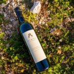 Wine Tasting Activity at Rymill Coonawarra - In-Depth Look at the Experience