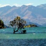 Wine Tasting Adventure Wanaka and Beyond - Who Will Love This Tour?