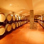 Wine Tasting and Art Tour - Is This Tour for You?