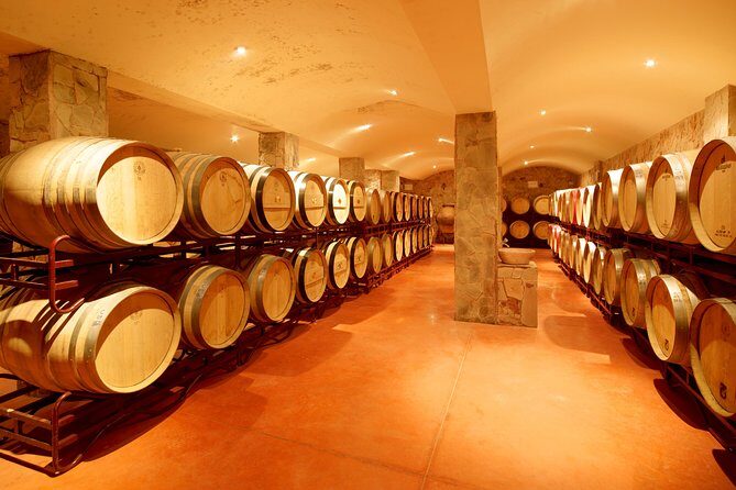 Wine Tasting and Art Tour - Is This Tour for You?