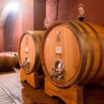 Wine tasting and guided tour of the cellar - An In-Depth Look at the Fattoria Sorbaiano Tour