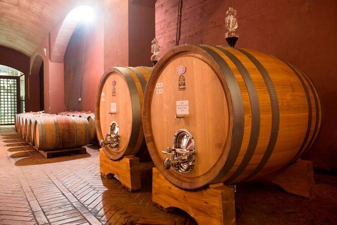 Wine tasting and guided tour of the cellar - An In-Depth Look at the Fattoria Sorbaiano Tour