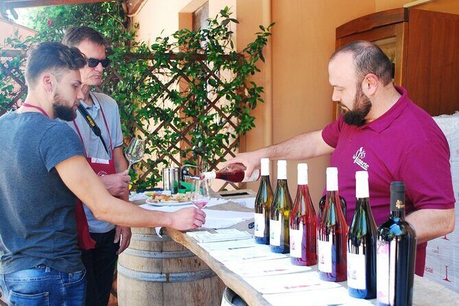Wine Tasting and Guided Visit to the Vineyard and Cellar in S. Maria Imbaro - FAQ