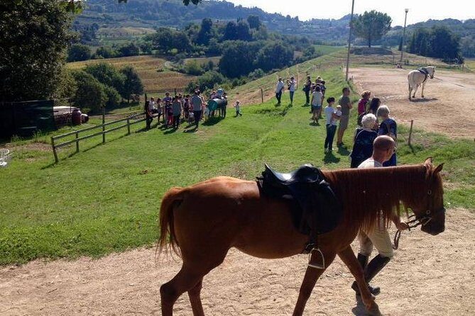 Wine tasting and horseback riding in Montepulciano, in Tuscany from Rome - The Itinerary in Detail