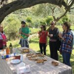 Wine tasting and Olive Oil in Tirana Surroundings - FAQ