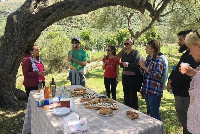 Wine tasting and Olive Oil in Tirana Surroundings - FAQ