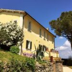 Wine Tasting and Winery tour - Exploring the Orvieto Winery Experience