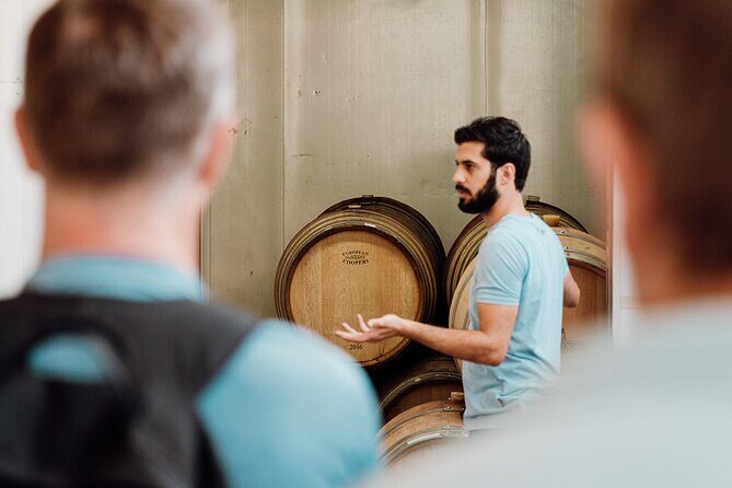 Wine tasting and winery tour at Fikardos Winery - A Deep Dive into the Fikardos Winery Experience