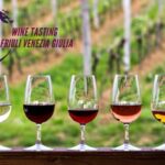 Wine tasting and winery tour in Friuli Venezia Giulia - The Experience in Detail: What You Can Expect