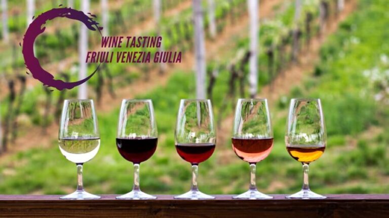 Wine tasting and winery tour in Friuli Venezia Giulia - The Experience in Detail: What You Can Expect