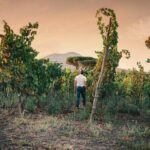 Wine Tasting and Winery Tour in Vesuvio National Park with Lunch - Practical Details & Tips
