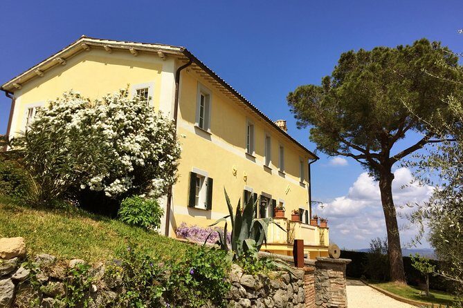 Wine Tasting and Winery tour - Exploring the Orvieto Winery Experience
