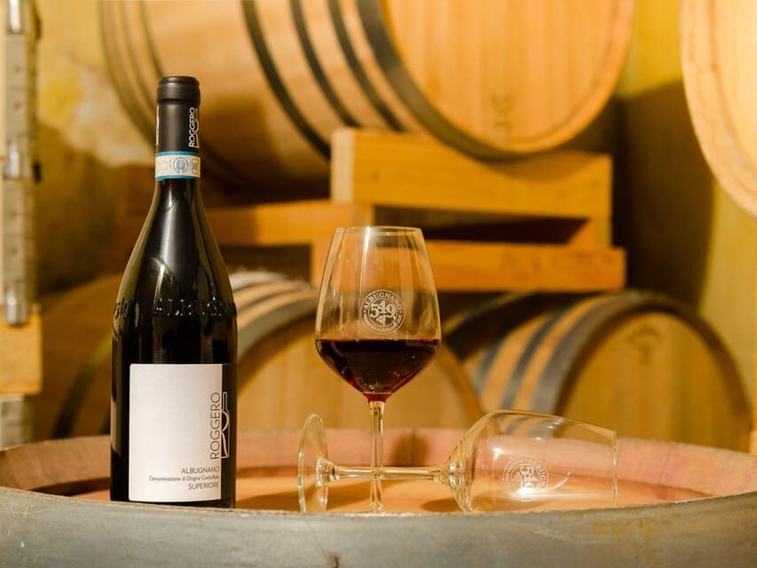 Wine Tasting and Winery Visit near Asti and Turin - The Scenic Walk and Why It Matters