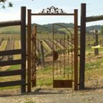 Wine Tasting Audio Tour - Paso Robles CA - The Sum Up