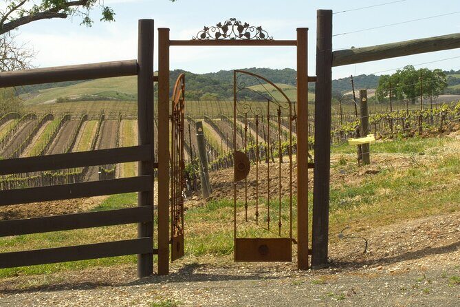 Wine Tasting Audio Tour - Paso Robles CA - The Sum Up