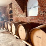 Wine tasting between Monferrato and Langhe - A Closer Look at the Tour Experience