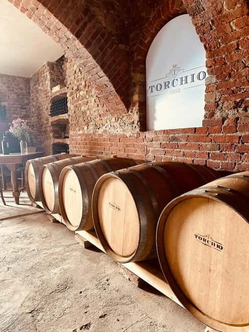 Wine tasting between Monferrato and Langhe - A Closer Look at the Tour Experience