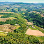 Wine Tasting by CarusVini in San Casciano in val di Pesa - Why This Tour Offers Great Value