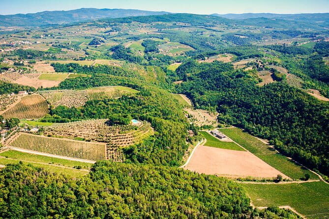 Wine Tasting by CarusVini in San Casciano in val di Pesa - Why This Tour Offers Great Value