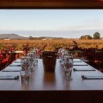 Wine Tasting Experience - An In-Depth Look at the Yarran Wines Tasting Experience
