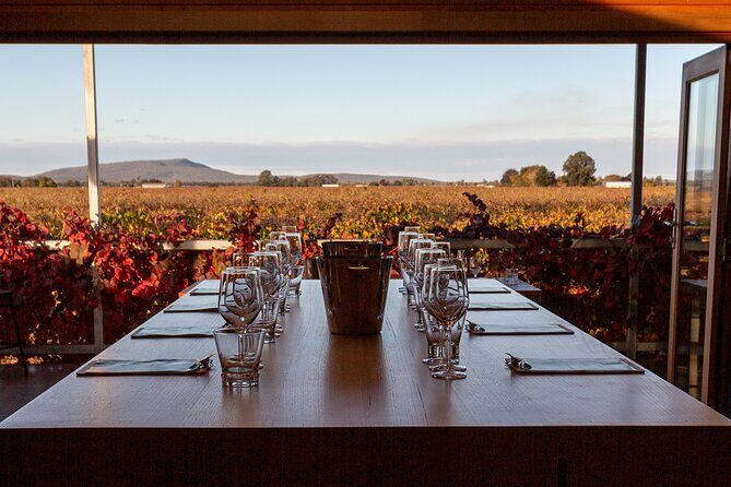 Wine Tasting Experience - An In-Depth Look at the Yarran Wines Tasting Experience
