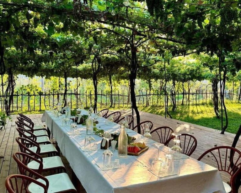 Wine Tasting Experience at Alpeta Winery - Who Will Love This Tour?