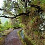 Wine Tasting Experience in Boaventura, Madeira North Coast - Final Thoughts