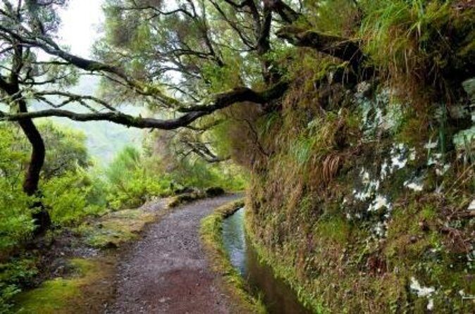 Wine Tasting Experience in Boaventura, Madeira North Coast - Final Thoughts